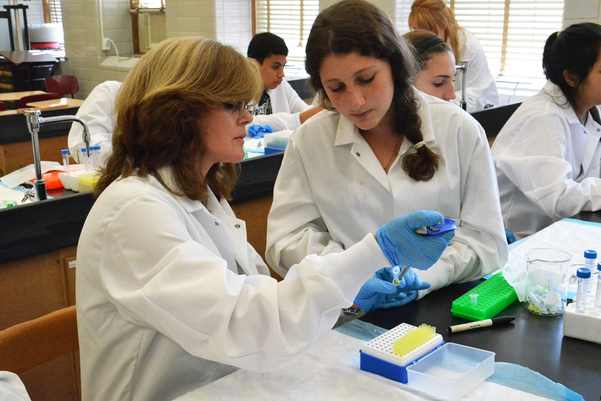 Students working in Biology, Chemistry, Earth and Environment Science department