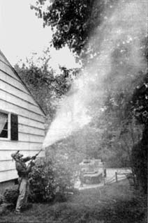 Photo of worker spraying trees with pesticides