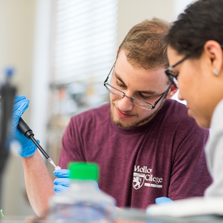 Students in class at Molloy University