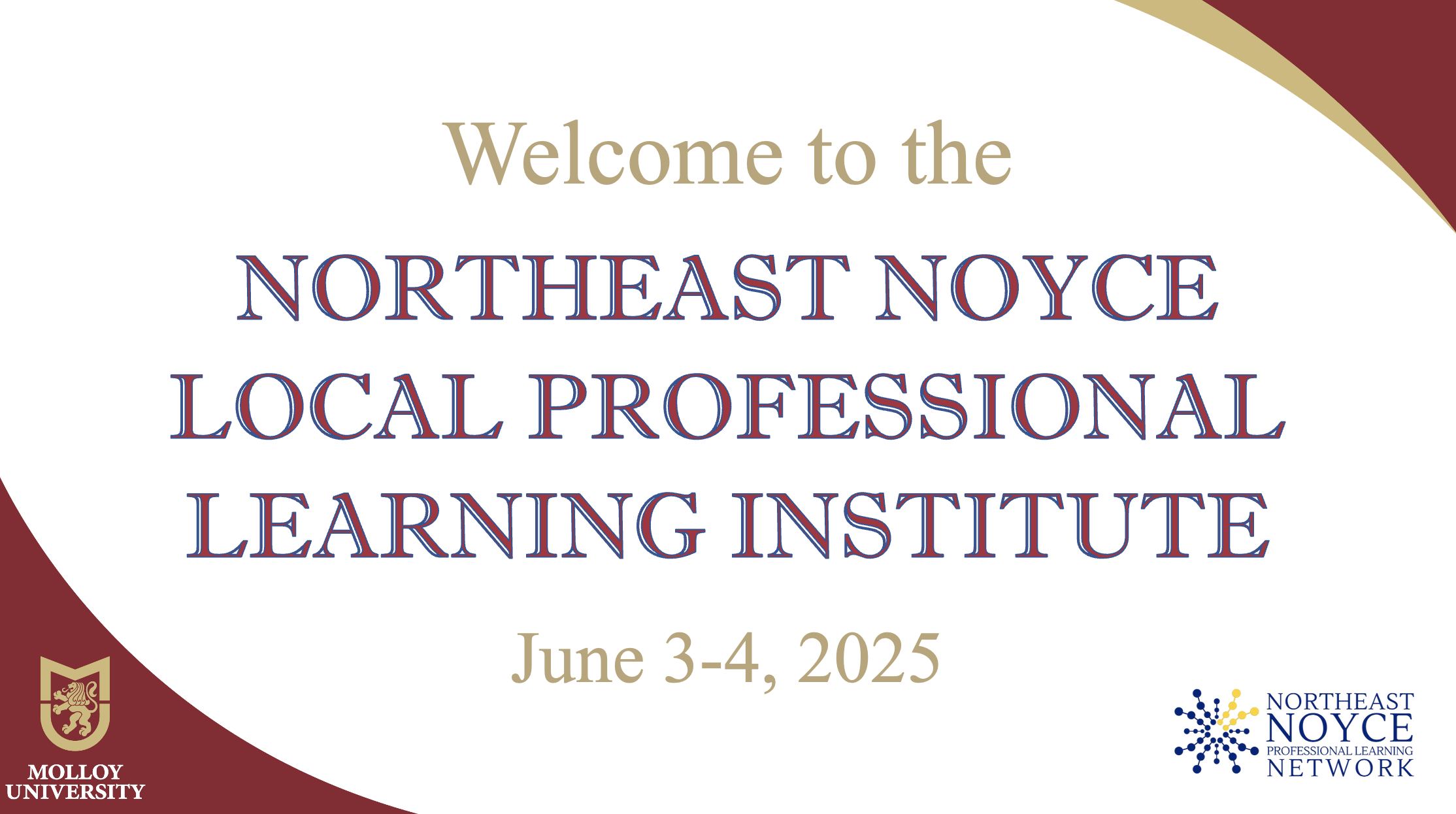 2025 Northeast Noyce Local Professional Learning Institute