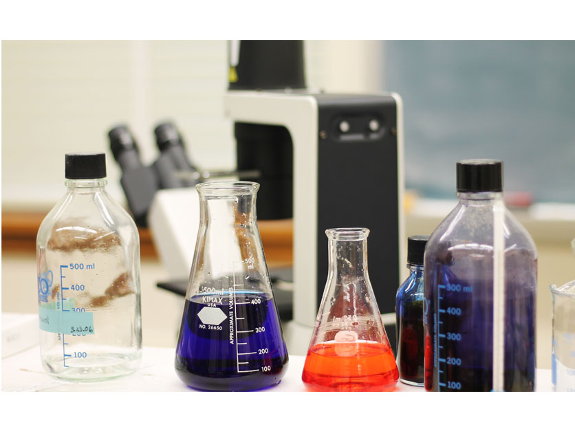 Biology concentration option