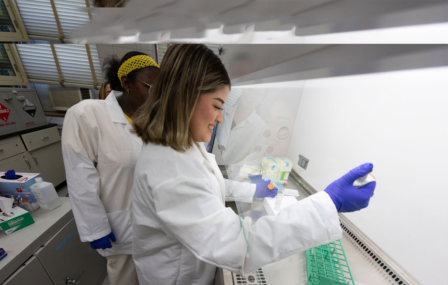 Molloy University biology students  in white lab coats and gloves work in a lab.