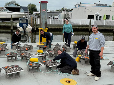 Dr. Elizabeth (Liz) Suter and a group of people working on a dock near a marina, handling mesh cages and ropes. The mood is collaborative and focused, with boats in the background.