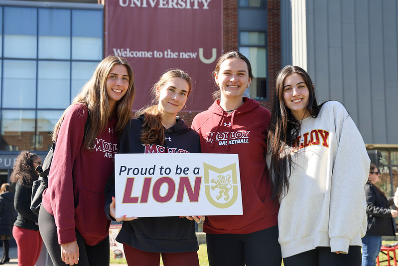 Proud to be a lion 