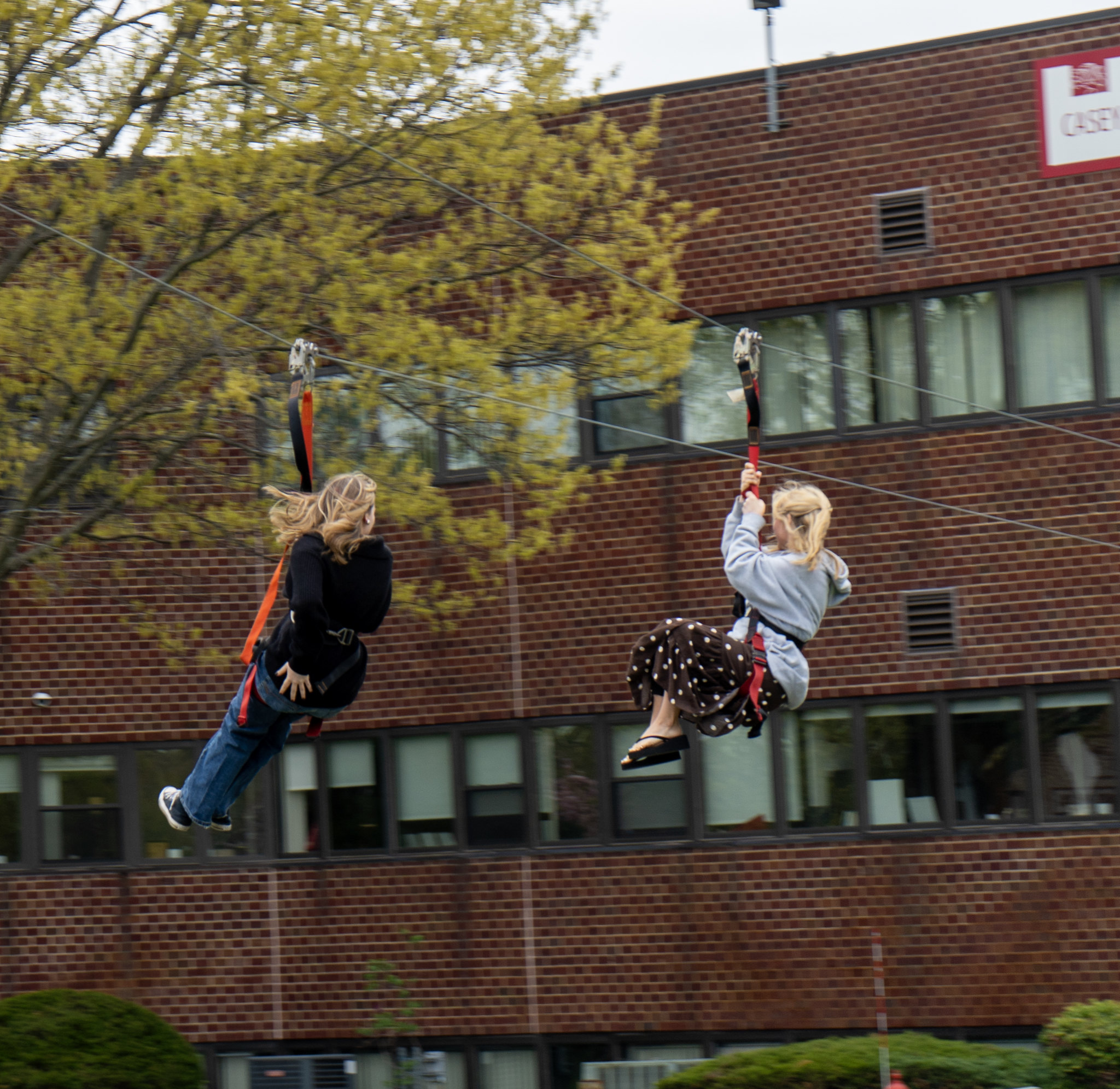 Zip Line