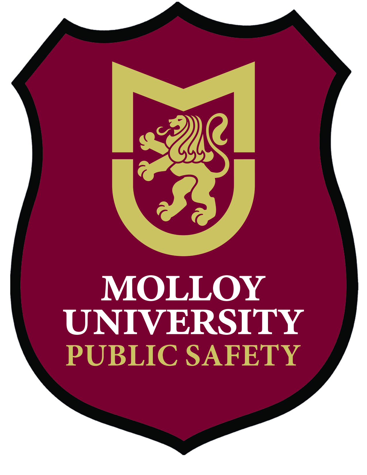 Public Safety Logo