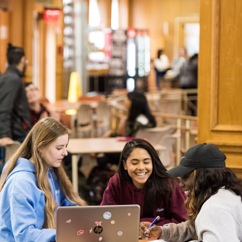 Students studying in the Anselma Room at Molloy University