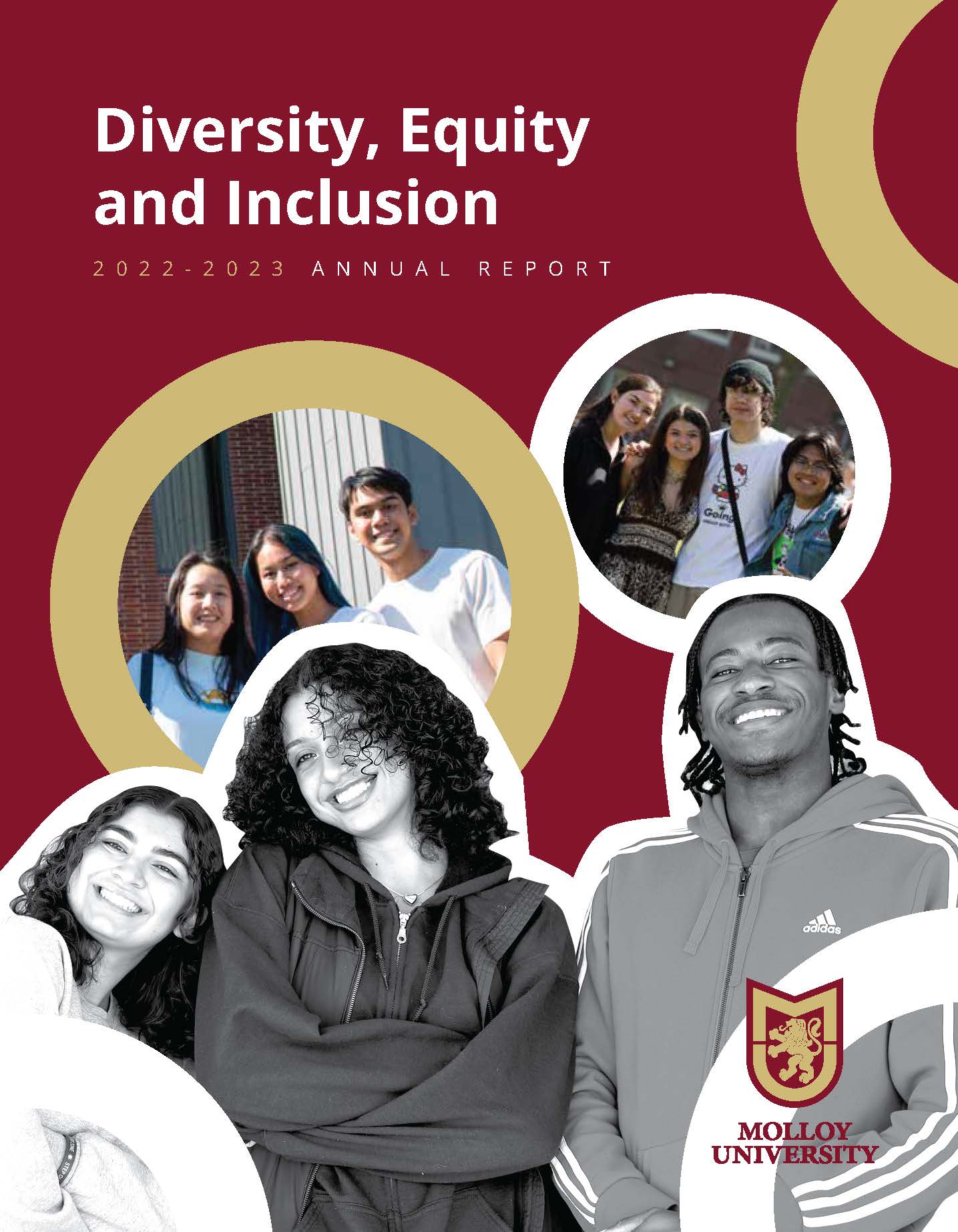 2022-2023 DEI Annual Report