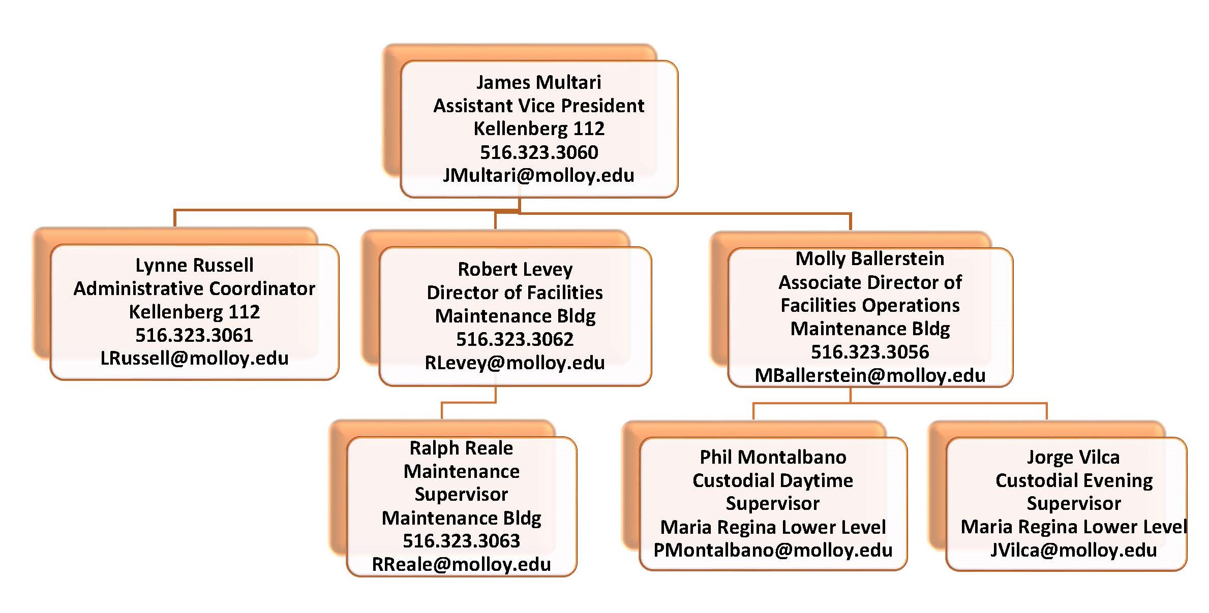 org-chart.jpg