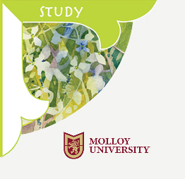 Study pillar logo