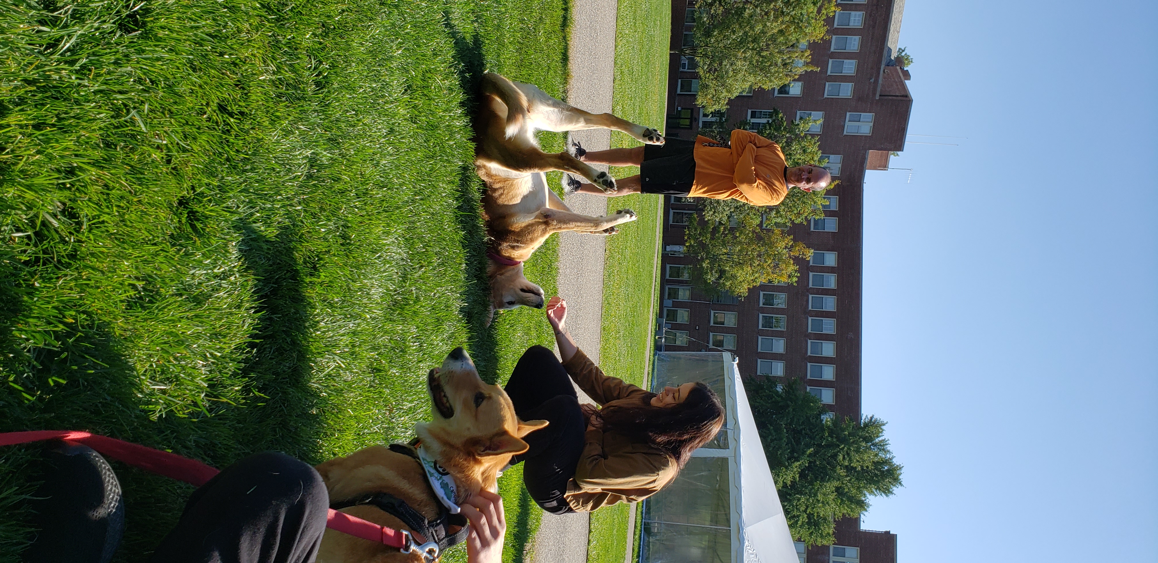 Blessing of animals during weekly mass at Molloy University