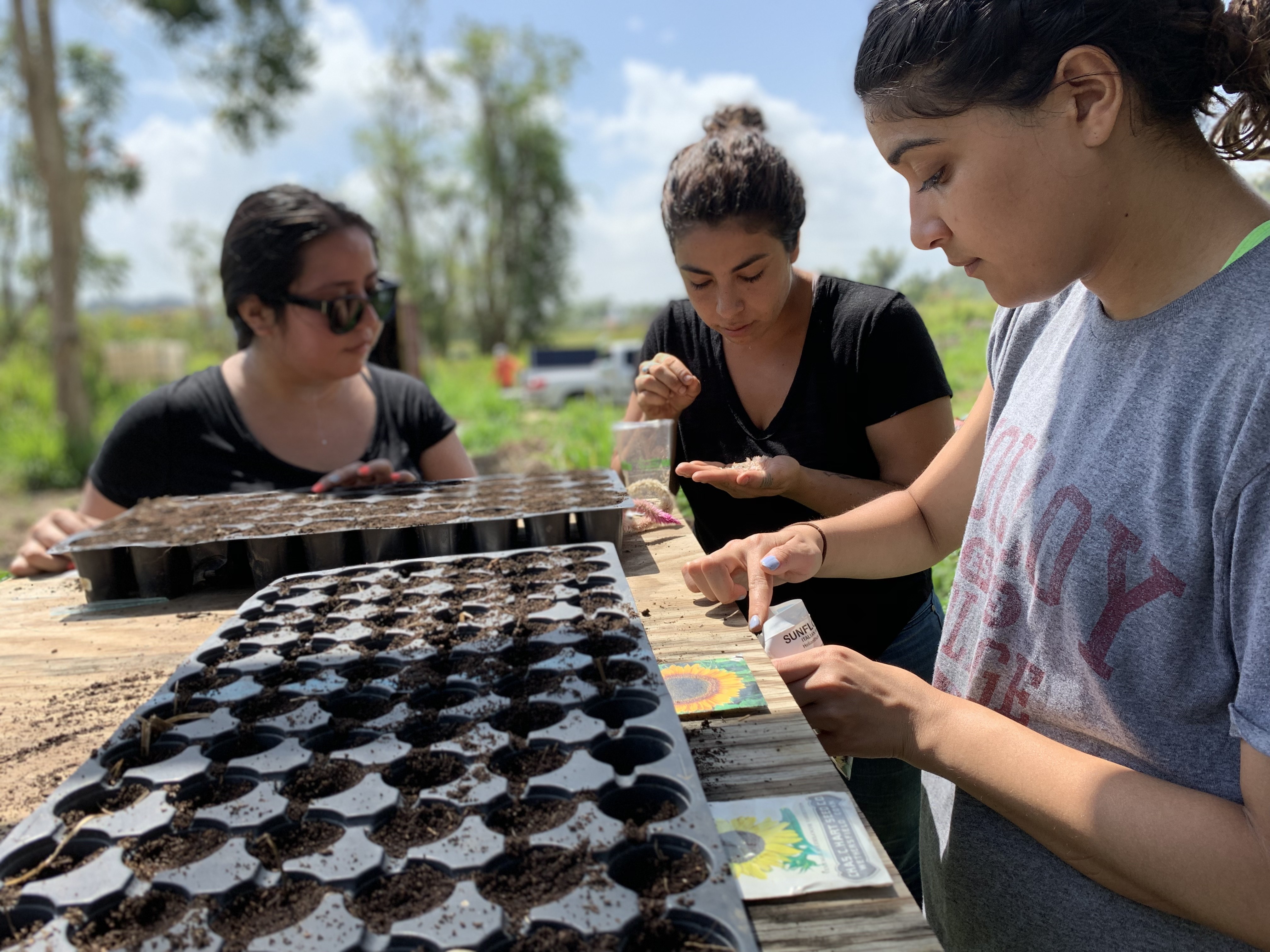 Students engaging with community