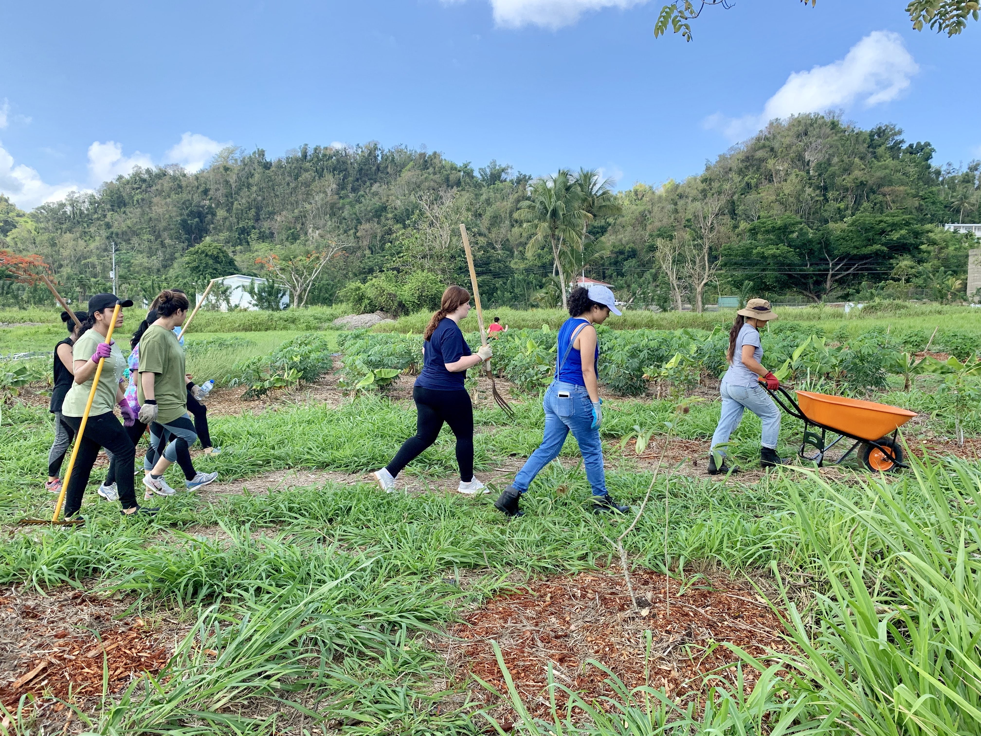 Students working in community