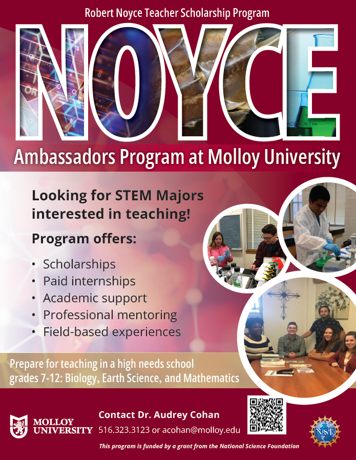 Noyce Flyer