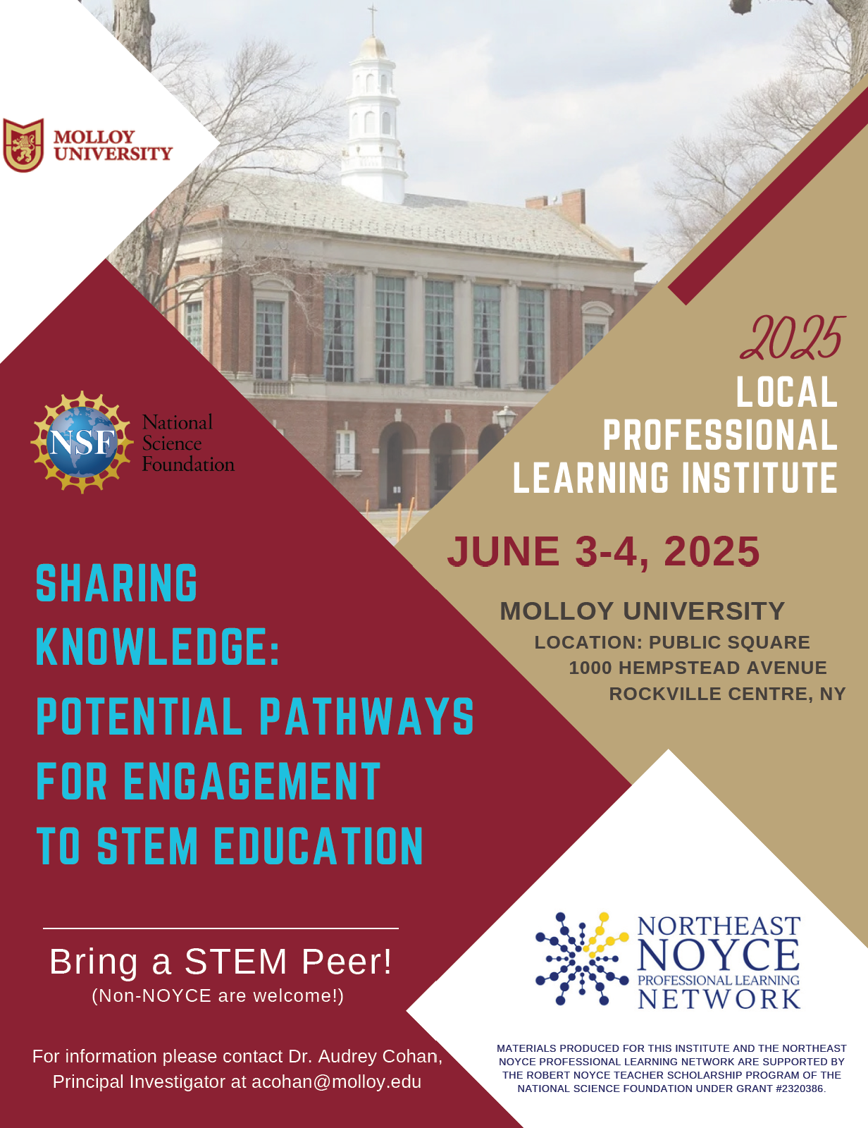 Noyce Institute Flyer
