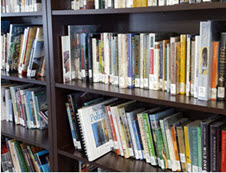 photograph of library books on a bookcase