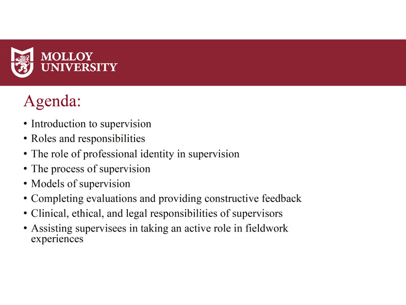 Clinical Supervisor Training Gallery Slide 2