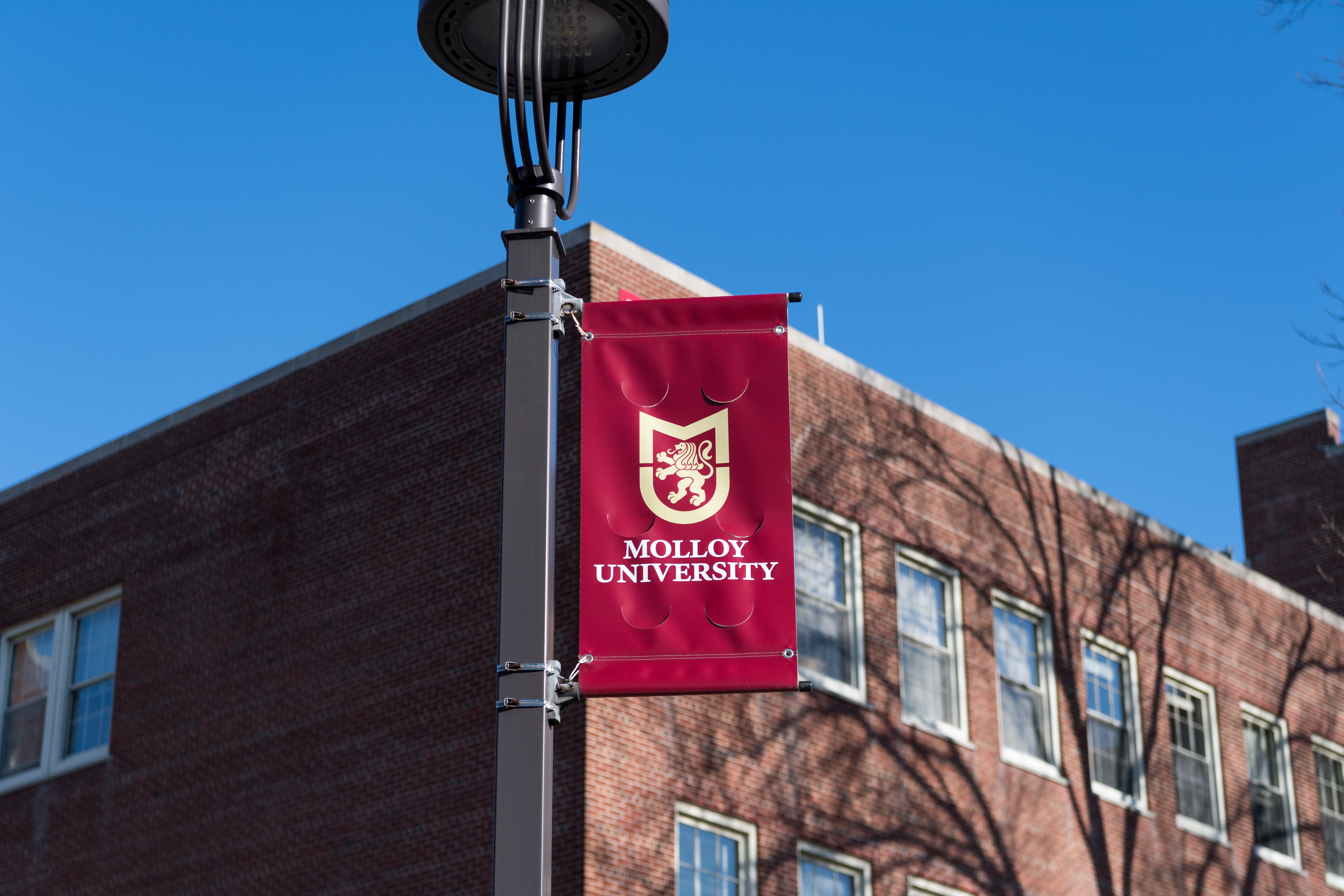 Molloy Campus featuring Kellenberg Hall on a bright day with green grass and blue sky