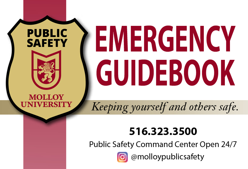 Emergency Guidebook